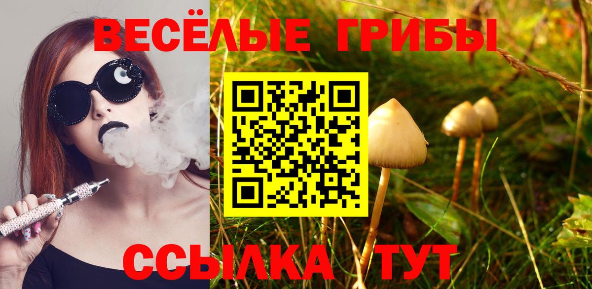 сколько стоит  Вход с VPN  Северск  Галлюциногенные грибы Magic Shrooms 